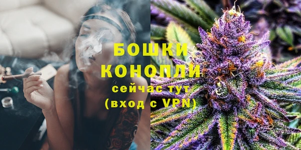 гидра Наволоки
