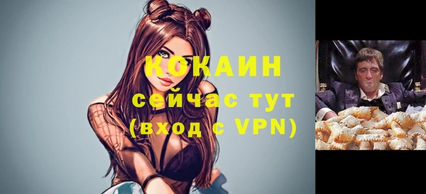 твердый Дедовск
