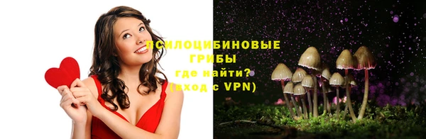 твердый Медногорск