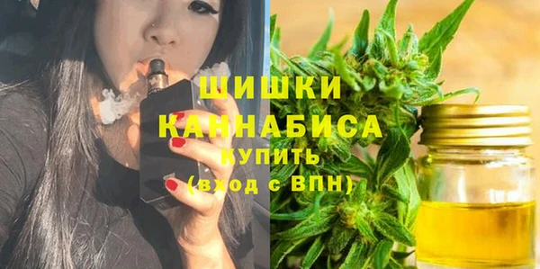 гидра Наволоки