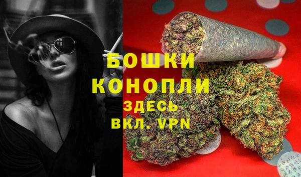 гидра Наволоки