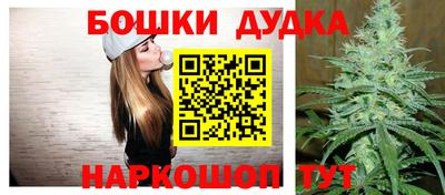 не бодяженный Гай