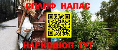 не бодяженный Гай
